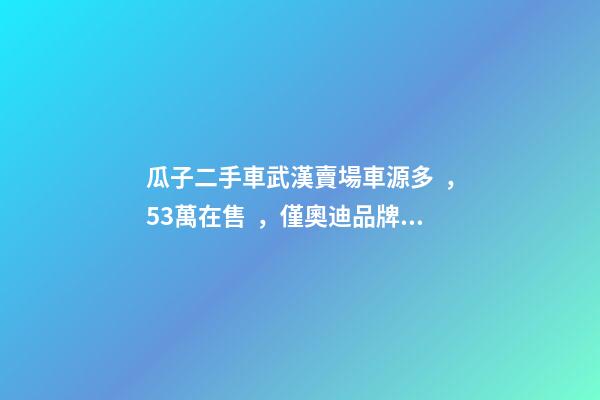 瓜子二手車武漢賣場車源多，5.3萬在售，僅奧迪品牌就有3000多輛